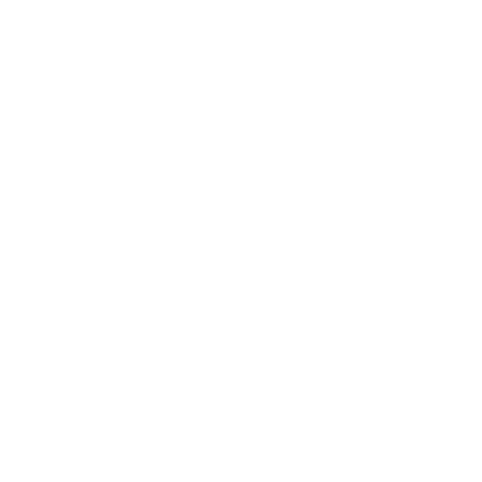 The Synapse Softworks LLC corporate logo.