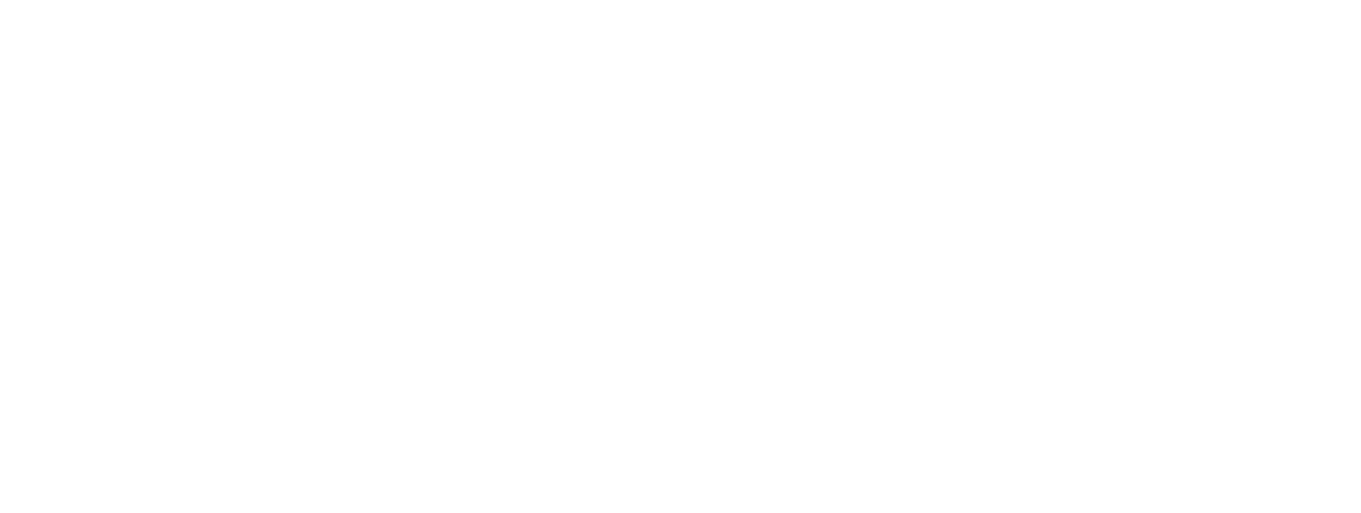 Synapse Softworks LLC Wide Logo